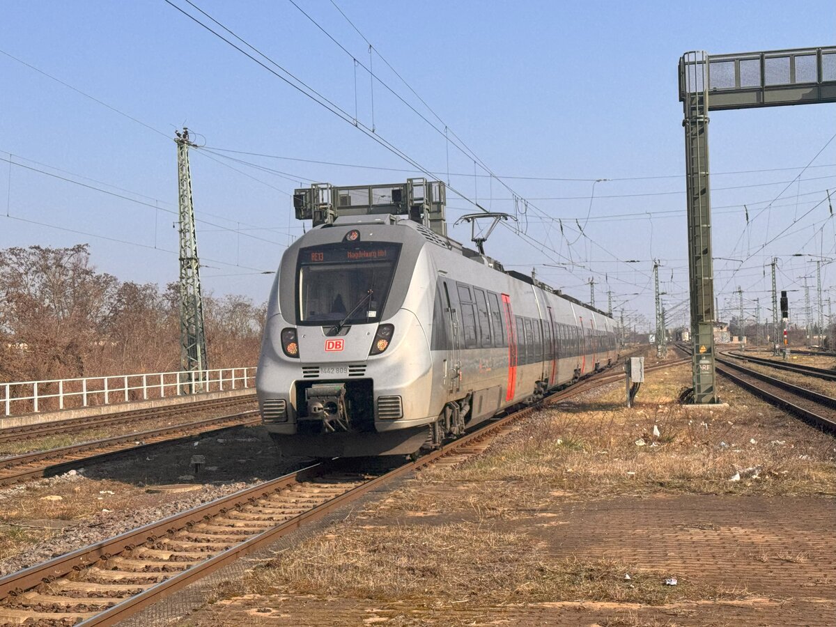 BR 1442 309/809 als (RE13 / RE 16110 Leipzig Hbf -> Magdeburg Hbf) bei der Einfahrt MG-Neustadt. 8.Mrz 2025