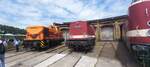 BR 346 171-2 (106 171-2) und BR 202 483-4 stehen beim Sommerfest BW Schneweide