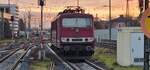 BR 250 137-7 (155 137) von BDMW steht im Vorfeld Regensburg Hbf.