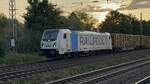 187 303-3 Railpool mit Holzzug durch Dedensen-Gmmer -> Seelze. 14.September 2024