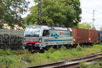 BR 6193 111-2 D-RPOOL mit Containern durch Mainz-Bischofsheim.