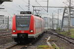 BR 423 079/579 + 423 207/707 als (S6 Tutzing -> Ebersberg) einfahrt M-Hirschgarten.