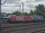 BR 1293 025 BB mit Kurzen GZ bei der Durchfahrt HH-Harburg.